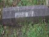 image of grave number 341606